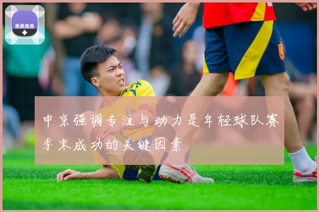 申京强调专注与动力是年轻球队赛季末成功的关键因素
