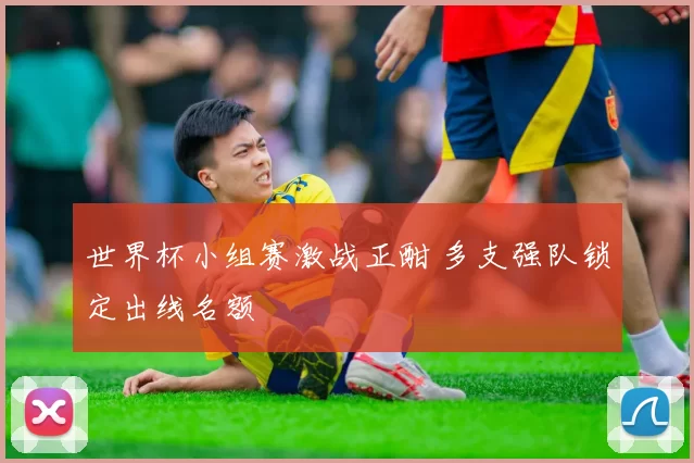 世界杯小组赛激战正酣 多支强队锁定出线名额