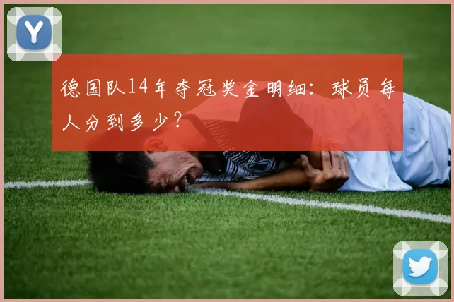德国队14年夺冠奖金明细：球员每人分到多少？