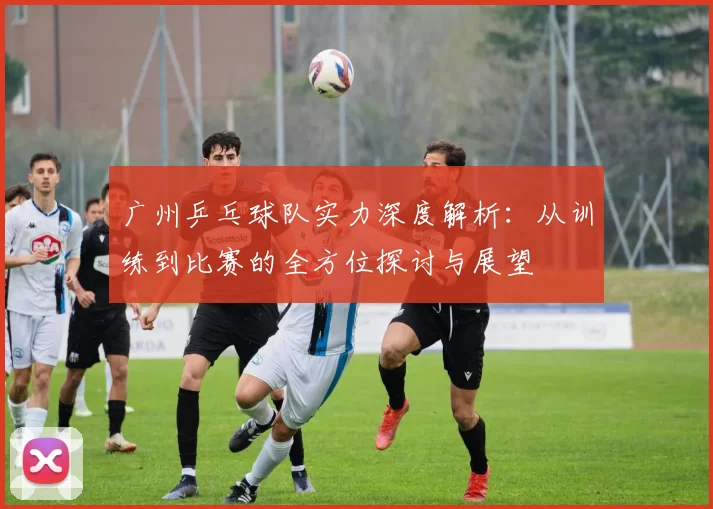 广州乒乓球队实力深度解析：从训练到比赛的全方位探讨与展望