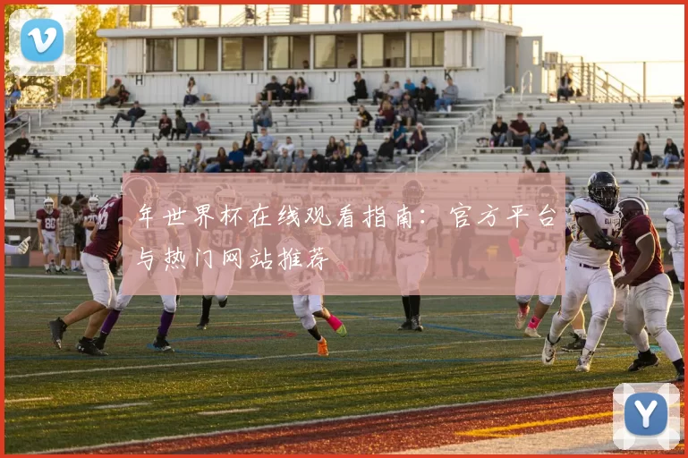 年世界杯在线观看指南：官方平台与热门网站推荐