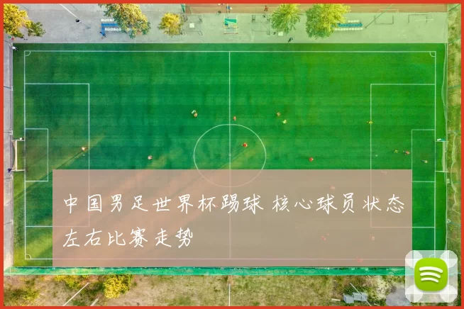 中国男足世界杯踢球 核心球员状态左右比赛走势