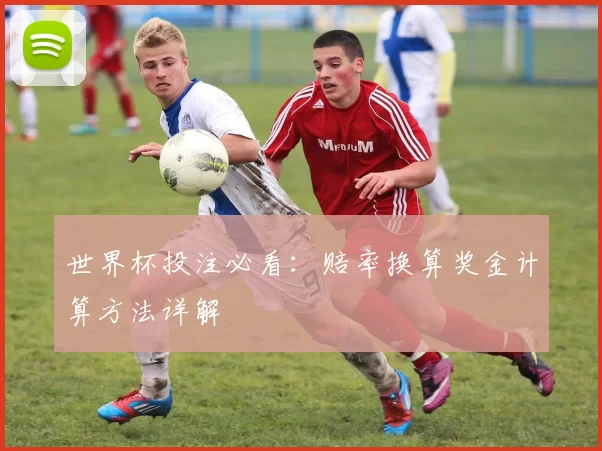 世界杯投注必看：赔率换算奖金计算方法详解