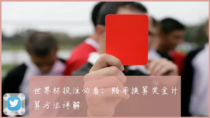 世界杯投注必看：赔率换算奖金计算方法详解