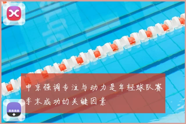 申京强调专注与动力是年轻球队赛季末成功的关键因素