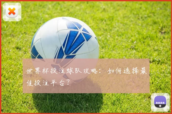 世界杯投注球队攻略：如何选择最佳投注平台？