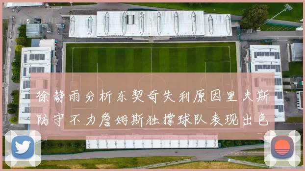 徐静雨分析东契奇失利原因里夫斯防守不力詹姆斯独撑球队表现出色