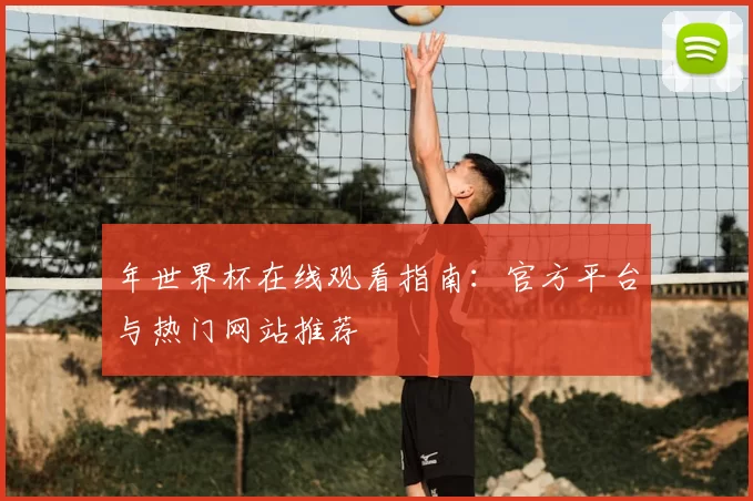 年世界杯在线观看指南：官方平台与热门网站推荐
