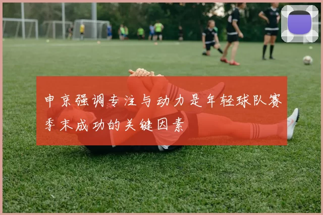 申京强调专注与动力是年轻球队赛季末成功的关键因素