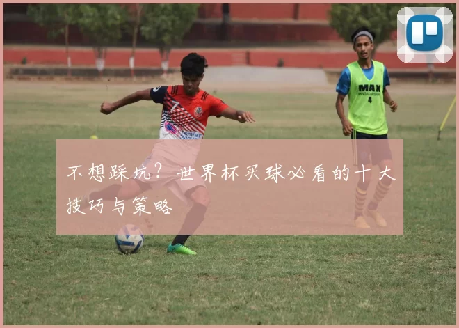 不想踩坑?世界杯买球必看的十大技巧与策略