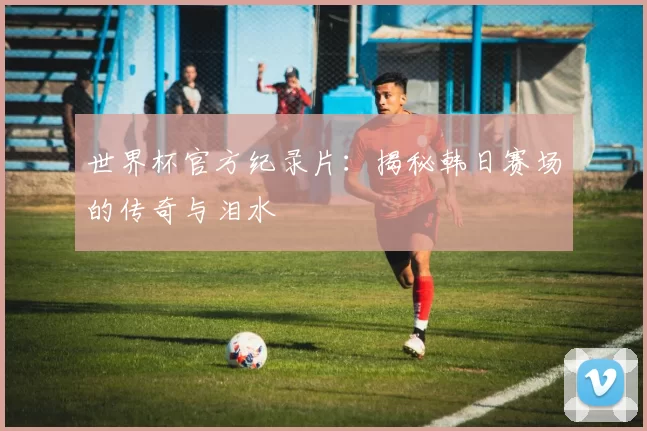 世界杯官方纪录片:揭秘韩日赛场的传奇与泪水