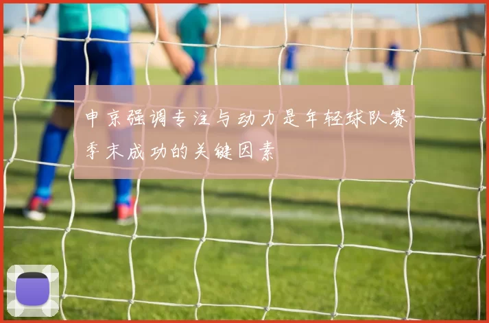 申京强调专注与动力是年轻球队赛季末成功的关键因素