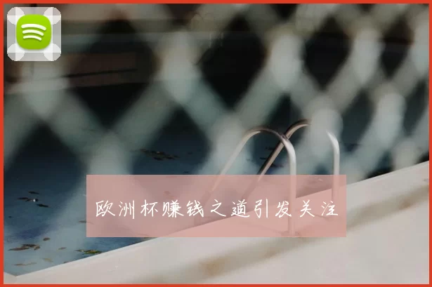 欧洲杯赚钱之道引发关注