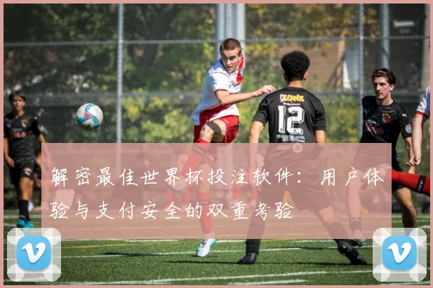 解密最佳世界杯投注软件:用户体验与支付安全的双重考验