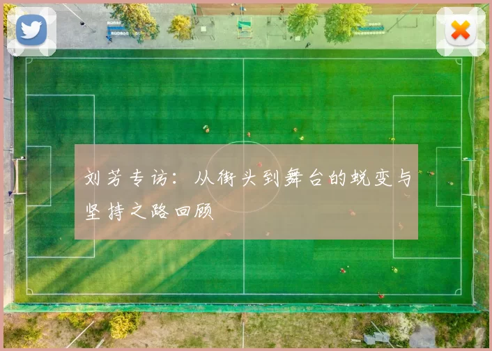 刘芳专访：从街头到舞台的蜕变与坚持之路回顾