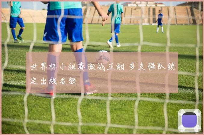 世界杯小组赛激战正酣 多支强队锁定出线名额