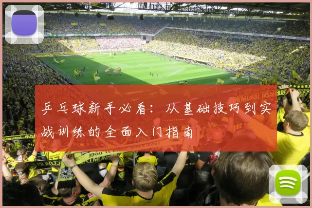 乒乓球新手必看:从基础技巧到实战训练的全面入门指南