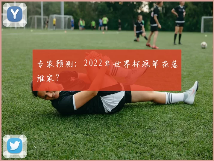 专家预测：2022年世界杯冠军花落谁家？